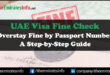 UAE Visa Fine Check